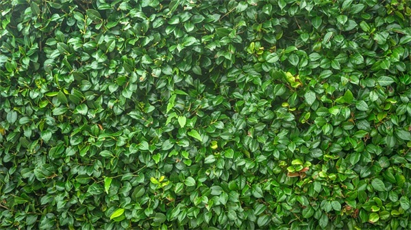 QQ伤感网名大全(140个)