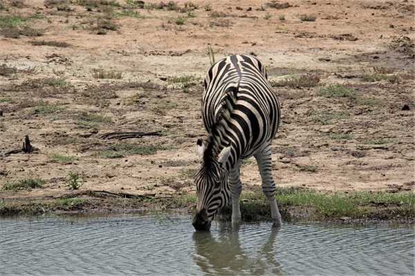 lol网名大全男生孤独(155个)