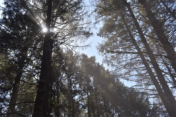 可爱又好听的字网名(136个)