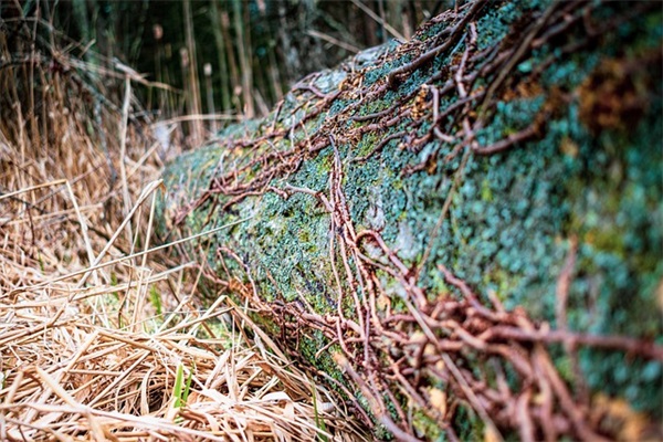 励志非主流网名男生网名(精选157个)