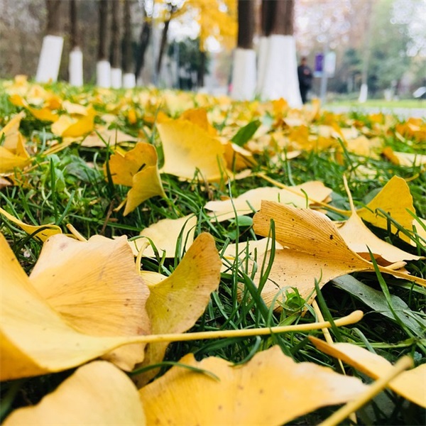 很拽很酷的男生游戏网名(优选158个)