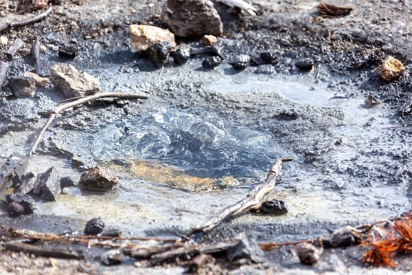 2025年龙年取名宜用哪些字（249个）