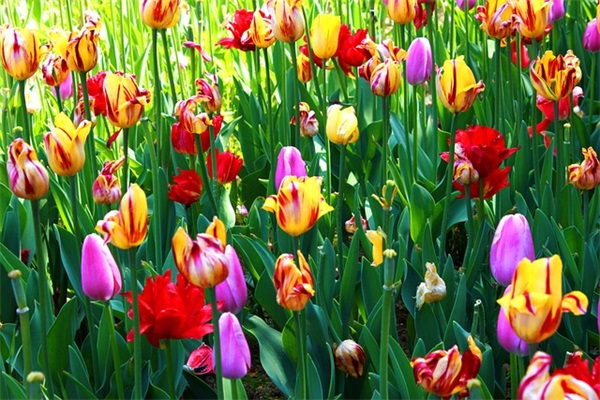 大气有格局的微信名(精选153个)