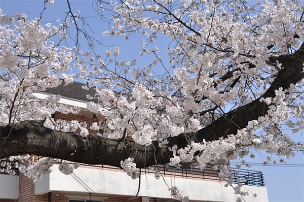 好看的情侣网名(80个)