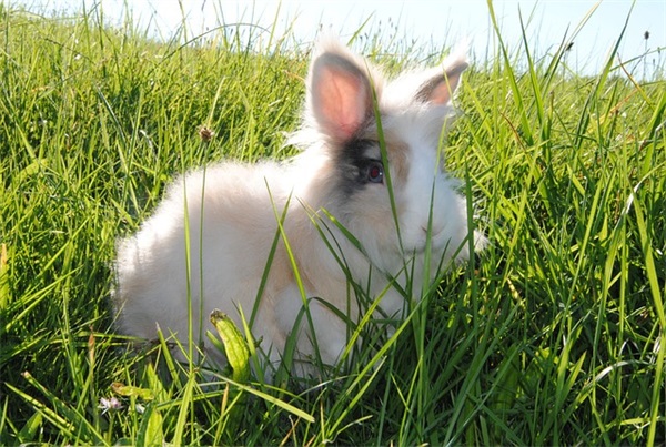 最牛网名独一无二搞笑逗比(精选138个)