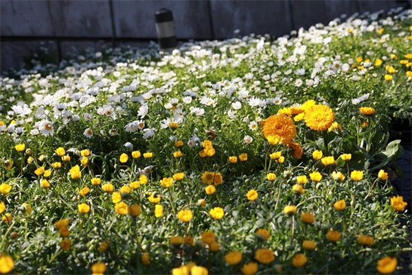 深情有深意的情侣名(精选83个)