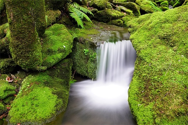 2025英语网名大全(精选153个)