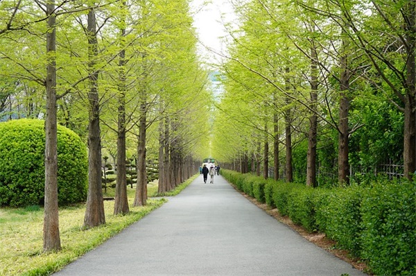 时尚的游戏网名大全(共139个)