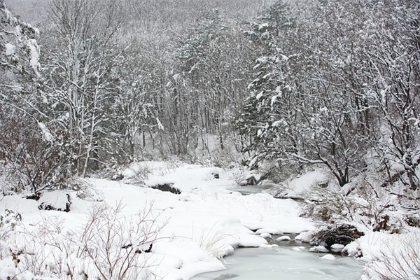 偶像剧里好听的英文名字(共115个)