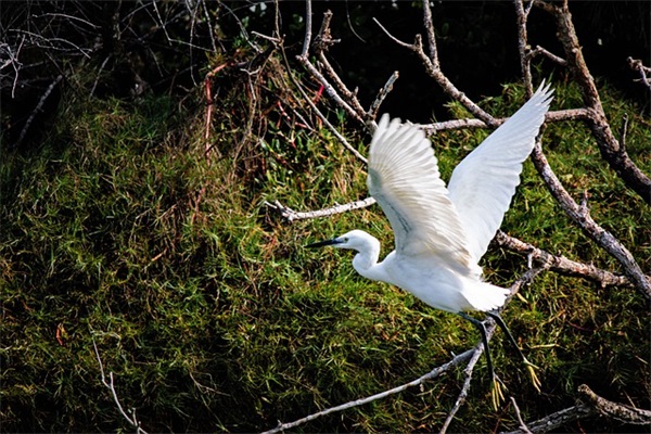 适合电竞女孩的网名(共139个)