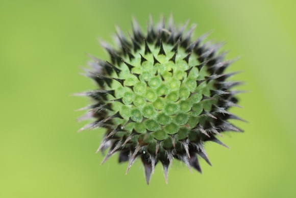 小仙女可爱的网名大全(精选264个)