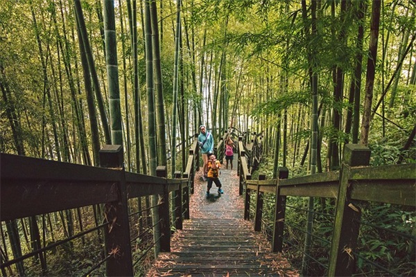 看过让人耳目一新的游戏名字(精选144个)