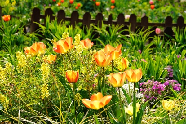 适合一辈子网名女(精选142个)