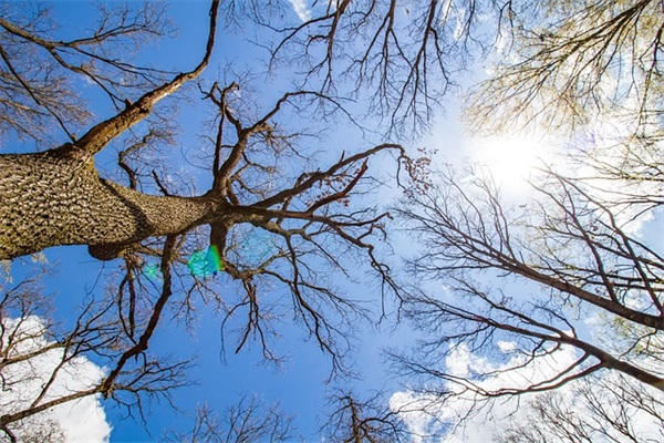 比较吸引男生的网名(142个)