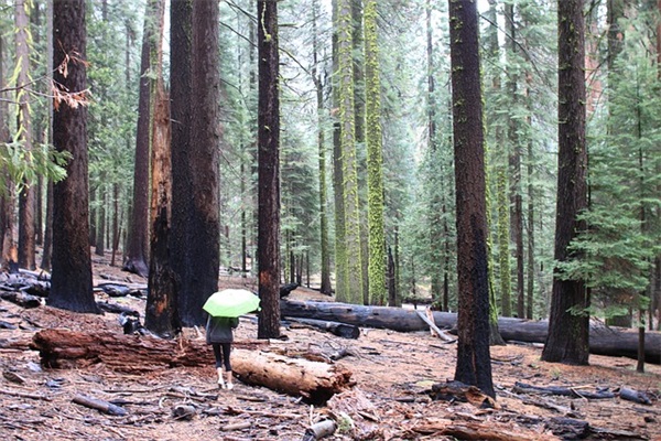 男孩独特少见的名字
