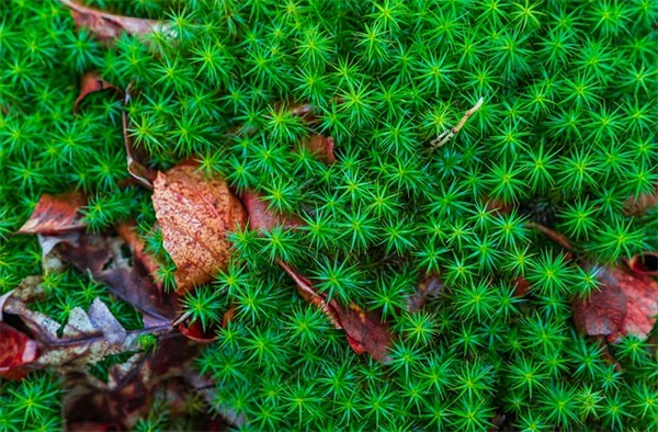 简单干净的男网名(共151个)