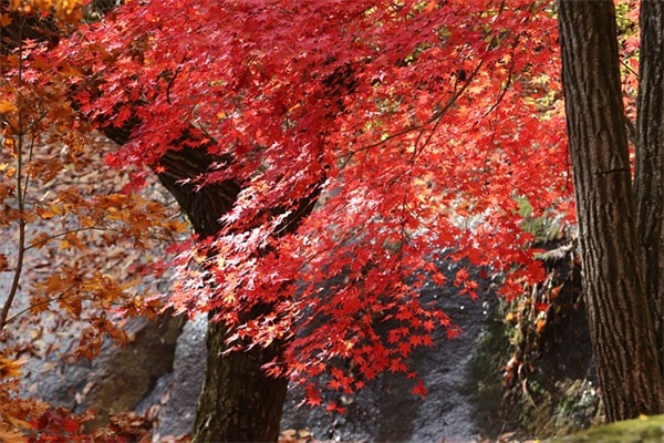 小仙女2025年网名(103个)