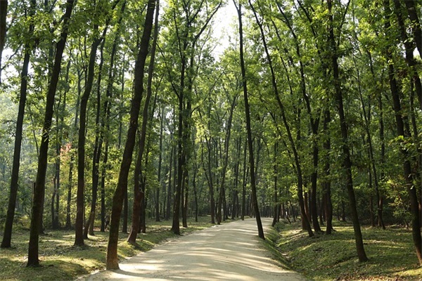 微信最酷最帅最狠的网名(优选132个)