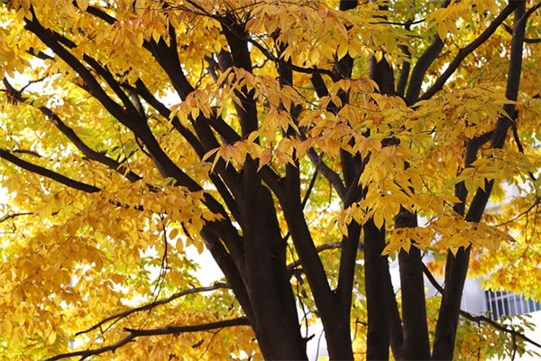 QQ伤感非主流网名(精选140个)