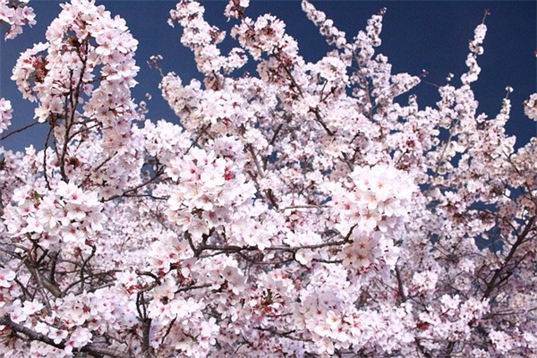 网名火爆最新版的男(精选141个)