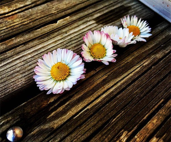 大气有涵养的网名(139个)