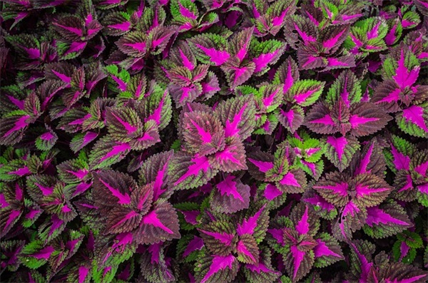 非主流qq个性网名(精选131个)