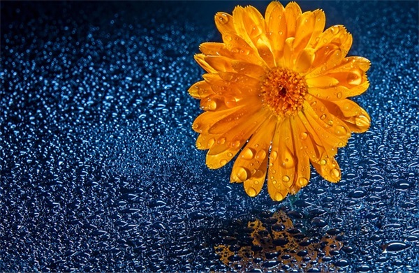 qq伤感心碎的网名(精选112个)