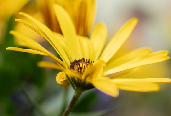 可爱的游戏网名女生萌(275个)