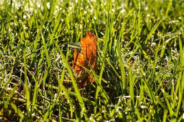 狂拽炫酷男生网名(精选143个)