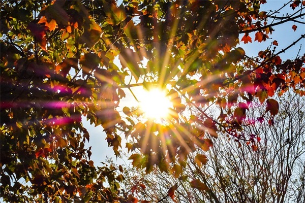 四个人组合的霸气网名(共137个)