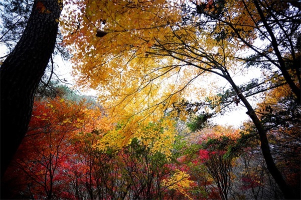 悲催的爱情qq网名(精选141个)