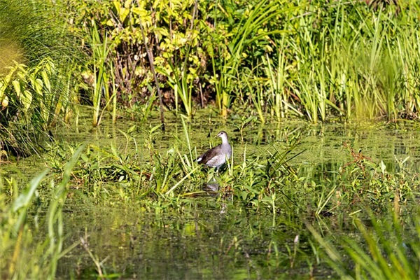 心情低落的伤感男女QQ网名(精选119个)