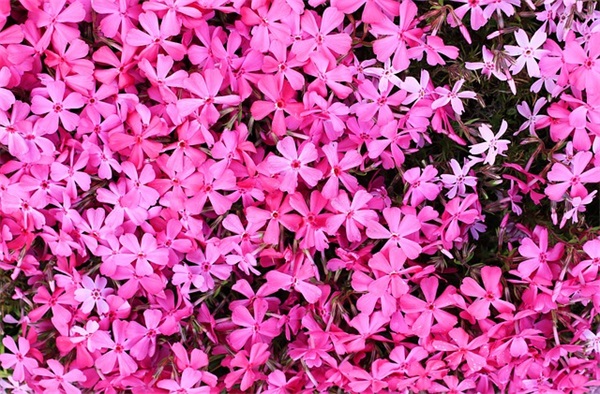 带燕字的微信网名(精选124个)