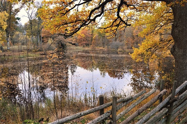 最火三字女的网名(166个)