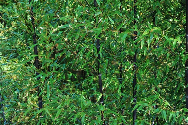 90后个性帅气网名(140个)