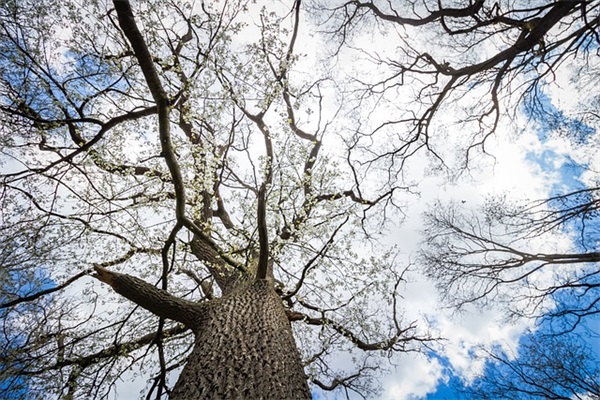 搞笑qq名字男生网名(113个)