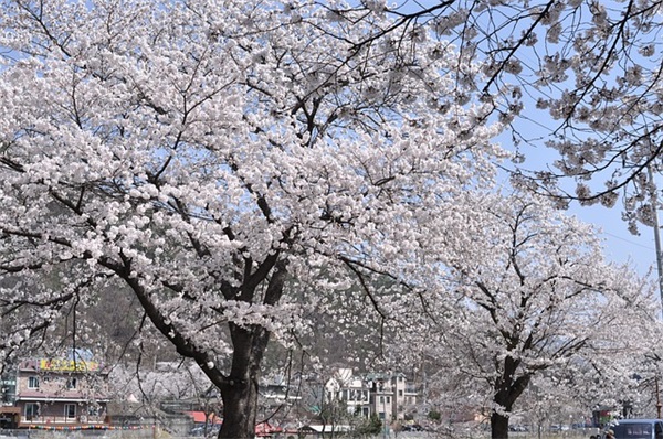 2025年微信网名独一无二(精选138个)