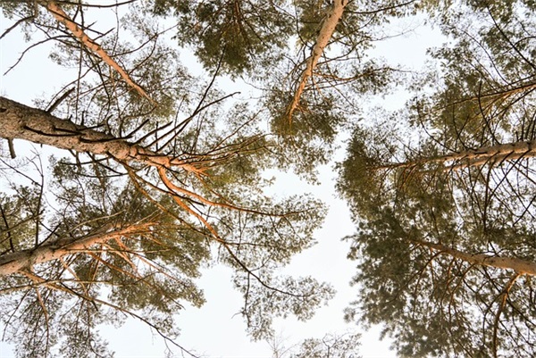 古风深奥难懂的网名(精选136个)