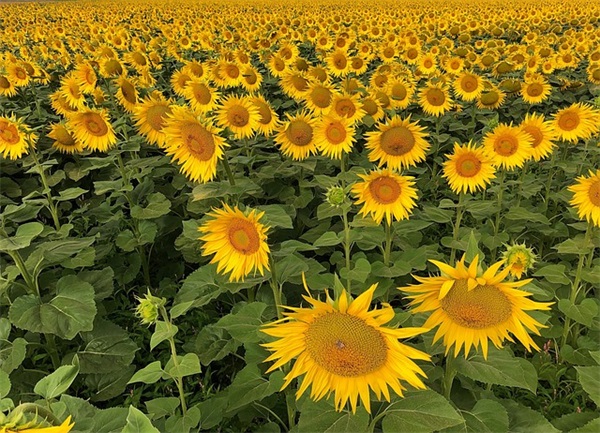 帅气一点的英文网名(共123个)