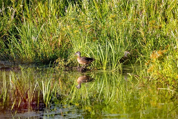 酷一点的闺蜜网名(共83个)