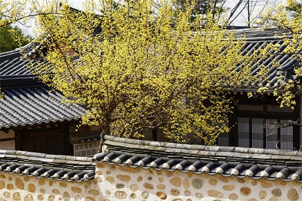 一个特别伤心的网名(精选130个)