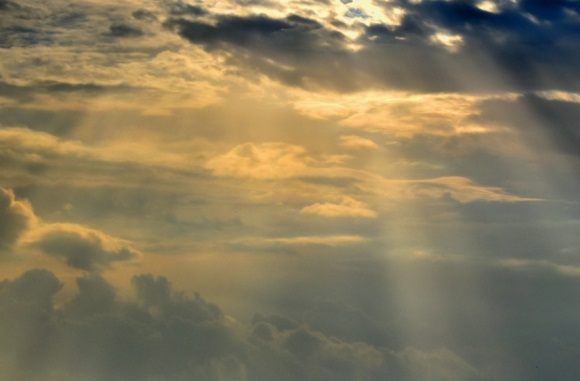 可爱又成熟的网名(优选278个)