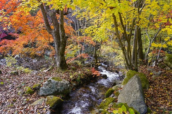 2025男孩取名寓意好的字（220个）