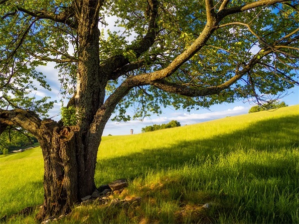 恋舞ol情侣名字(69个)