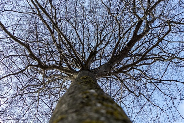 逗比情侣网名好听一对