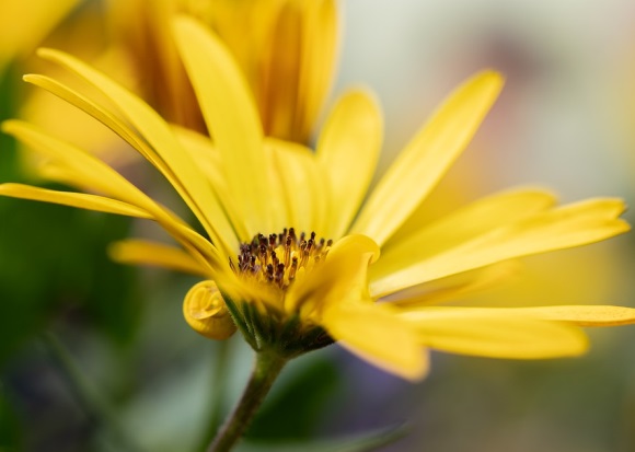 可爱又逗比的网名(283个)