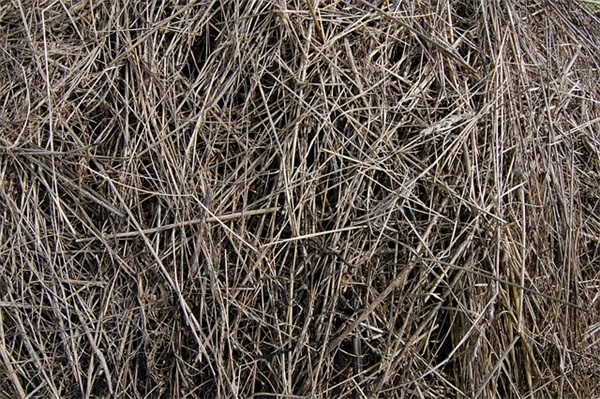 五字女网名唯美有气质(126个)