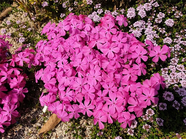 儒雅的网名 有诗意又儒雅的网名(精选124个)