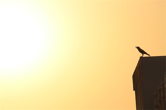 非主流精选符号网名(110个)