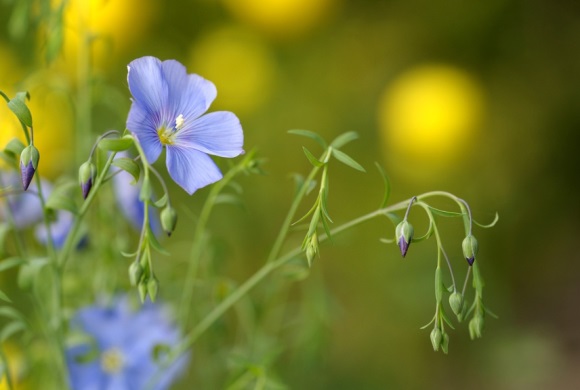 好看又可爱的网名(270个)